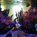 ホテル アポロン