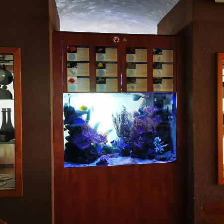 Hotel Apollon Rust